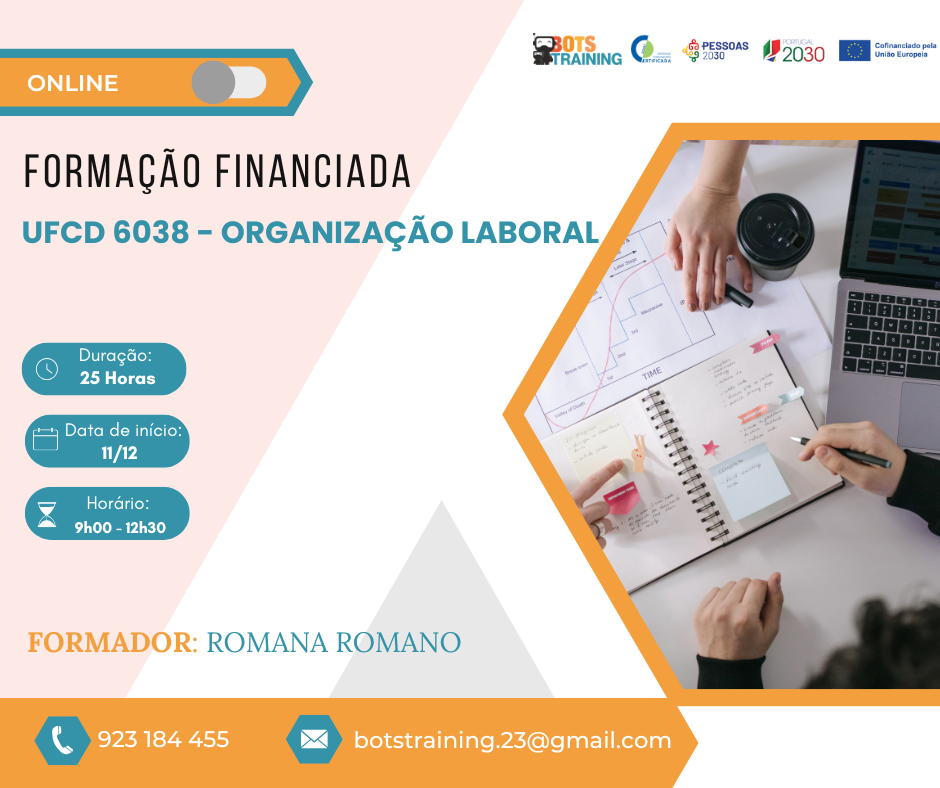 Organização