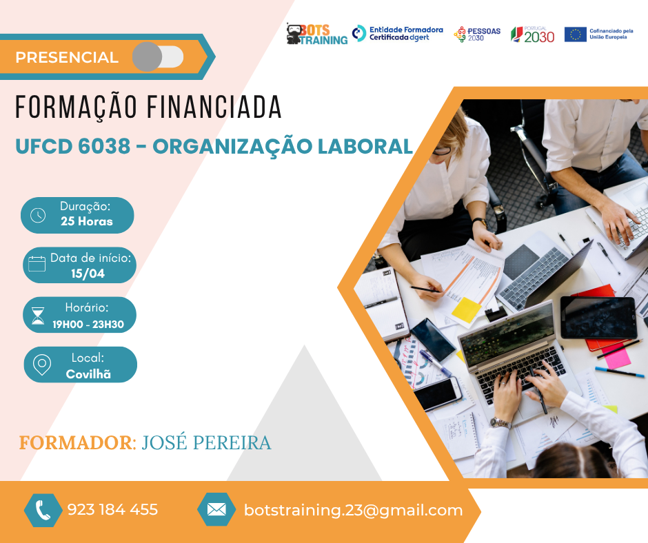 Organização